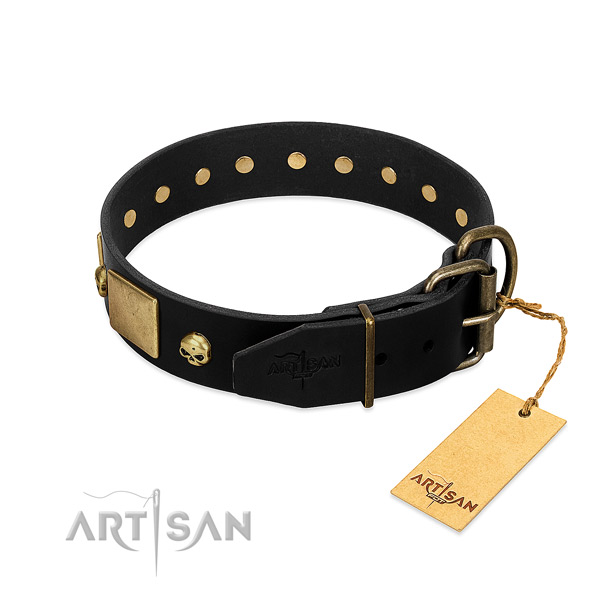 Durable decorations on daily walking collar for your canine
