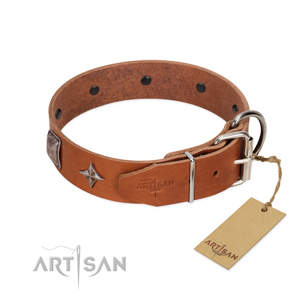 Soft to touch genuine leather dog collar with exquisite studs