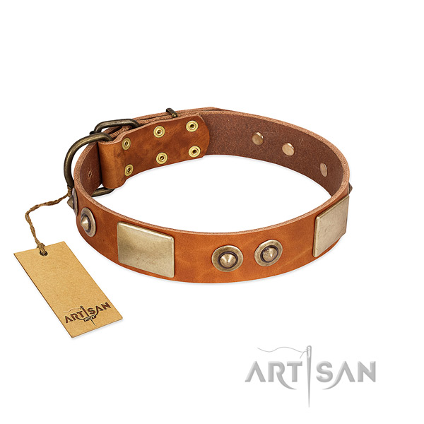 Easy to adjust full grain leather dog collar for daily walking your dog