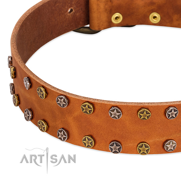 Daily walking full grain natural leather dog collar with awesome adornments