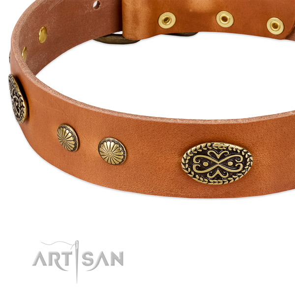 Corrosion proof studs on full grain leather dog collar for your dog