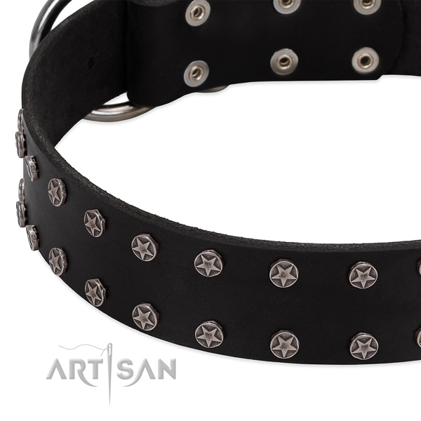 Top rate leather dog collar with adornments for your pet