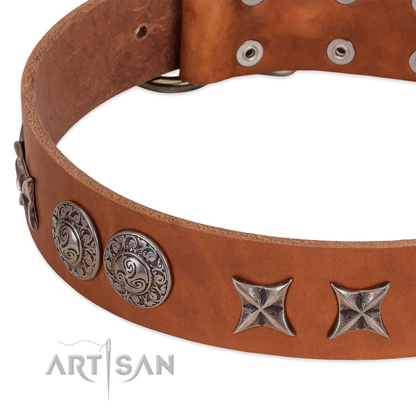 Fashionable full grain leather dog collar with strong hardware