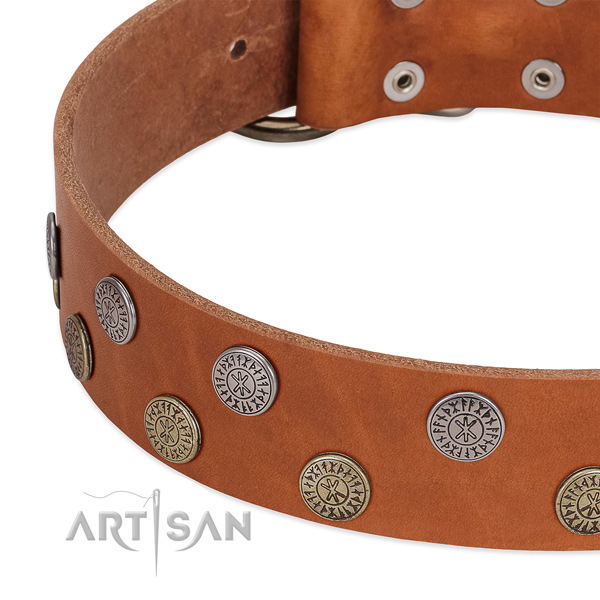 Top notch genuine leather collar for stylish walking your pet