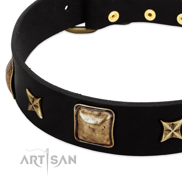 Full grain leather dog collar with fashionable adornments