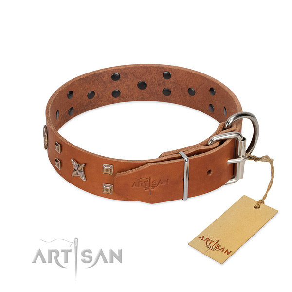 Genuine leather dog collar with studs for your beautiful pet