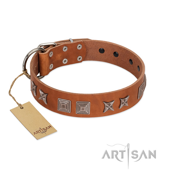 Genuine leather dog collar with top notch decorations created canine