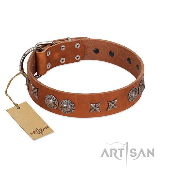 Leather collar with stunning embellishments for your pet