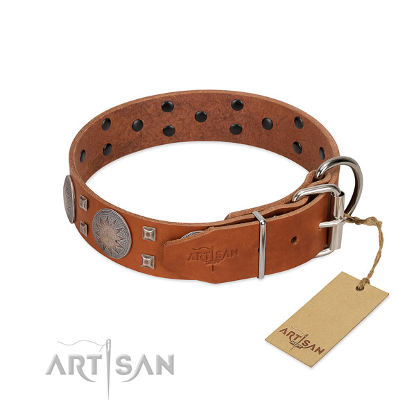 Daily walking dog collar of natural leather with amazing embellishments