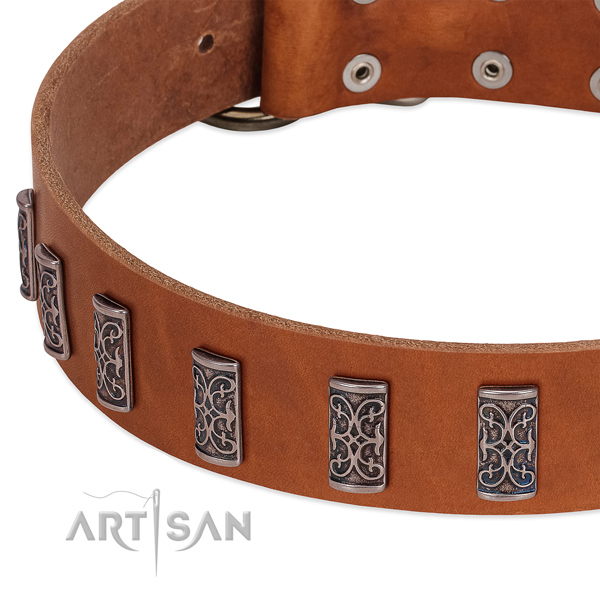 Best quality full grain natural leather dog collar handmade for your four-legged friend