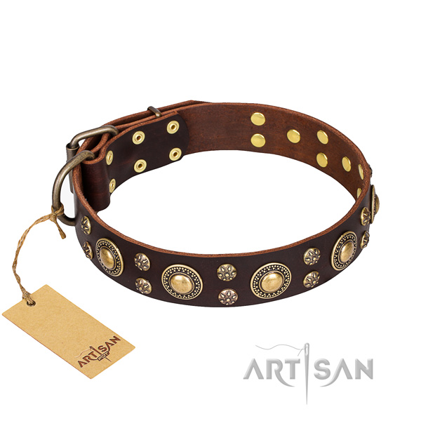 Stylish walking dog collar of strong full grain leather with embellishments