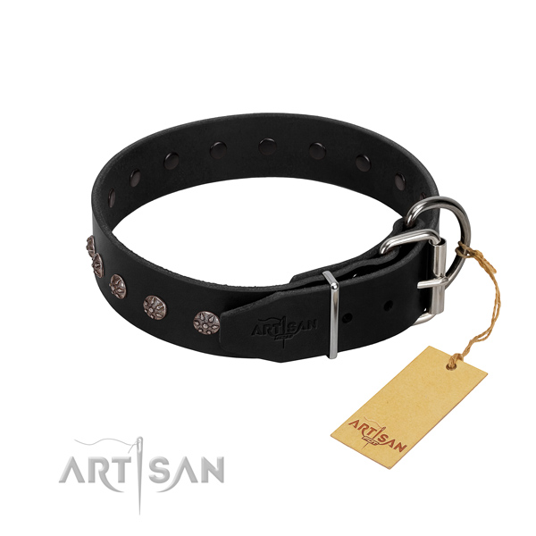 Soft leather dog collar with embellishments for your dog