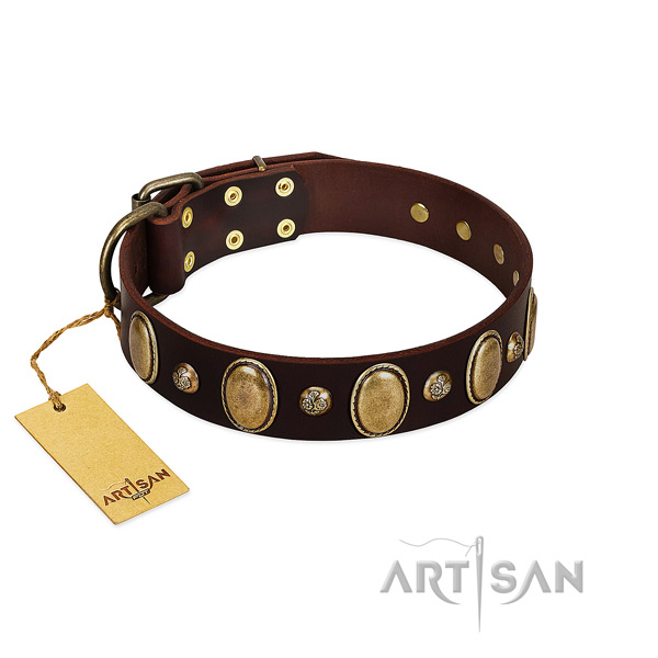 Genuine leather dog collar of top rate material with exceptional decorations