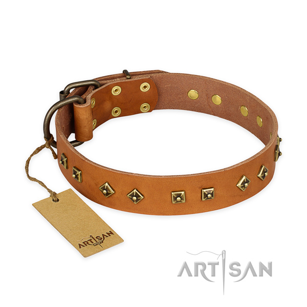 Stylish full grain natural leather dog collar with rust resistant hardware