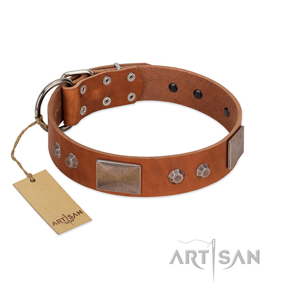 Adorned leather collar for your handsome doggie