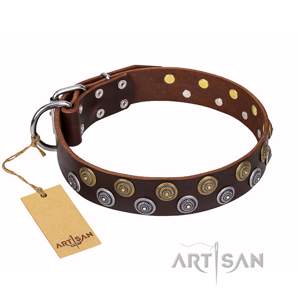 Basic training dog collar of quality leather with adornments