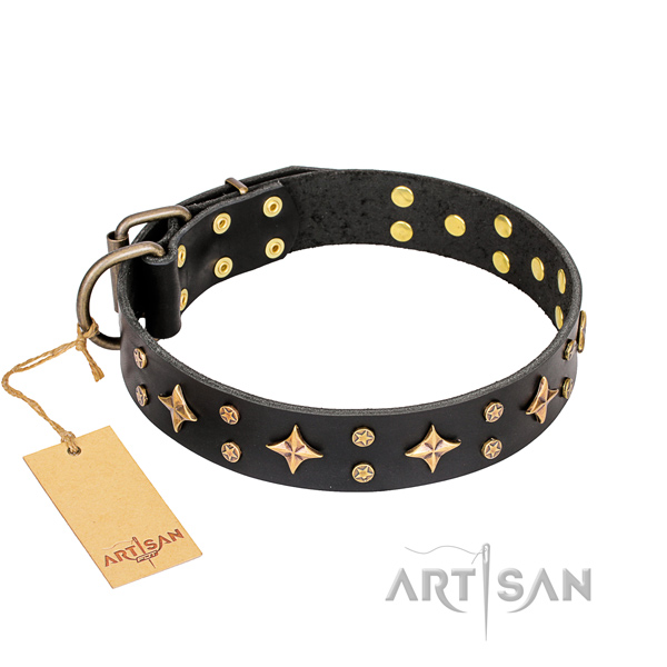 Fancy walking dog collar of top quality genuine leather with decorations