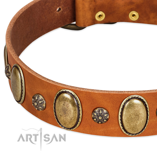 Easy wearing soft leather dog collar