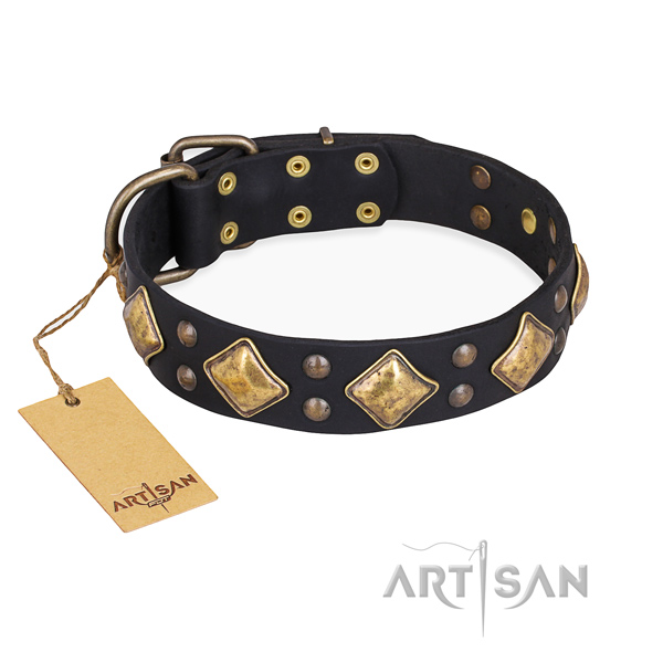 Everyday use easy wearing dog collar with rust resistant traditional buckle