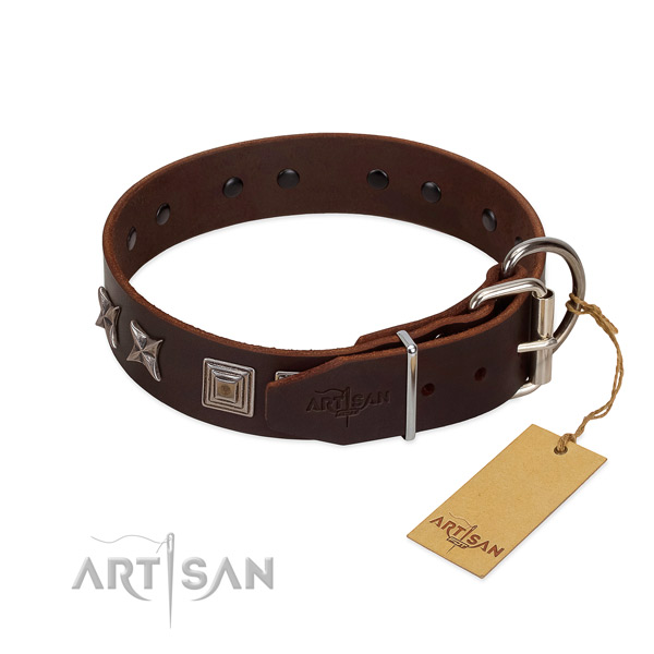 Leather dog collar with stylish studs for your canine
