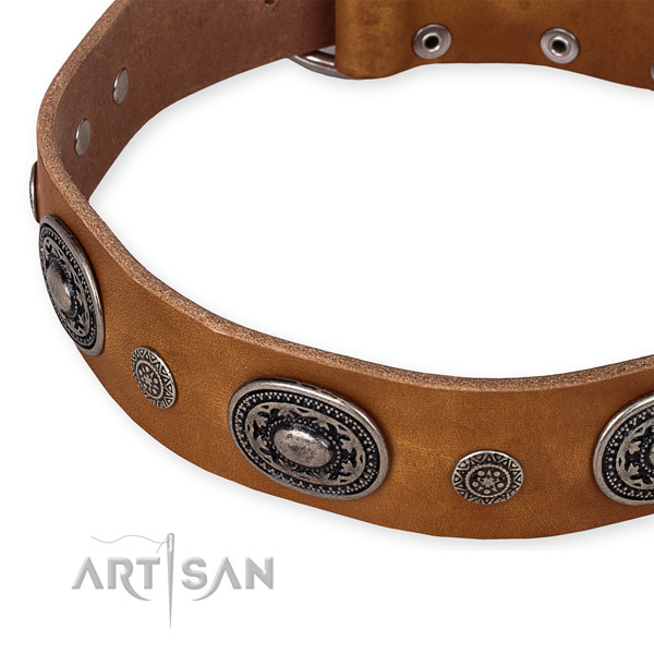 Quality full grain leather dog collar crafted for your stylish doggie