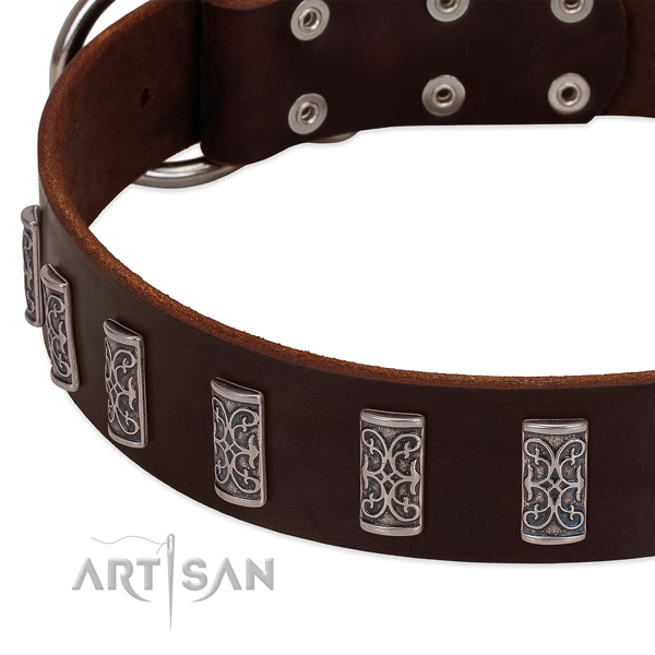 Best quality full grain genuine leather dog collar handcrafted for your dog