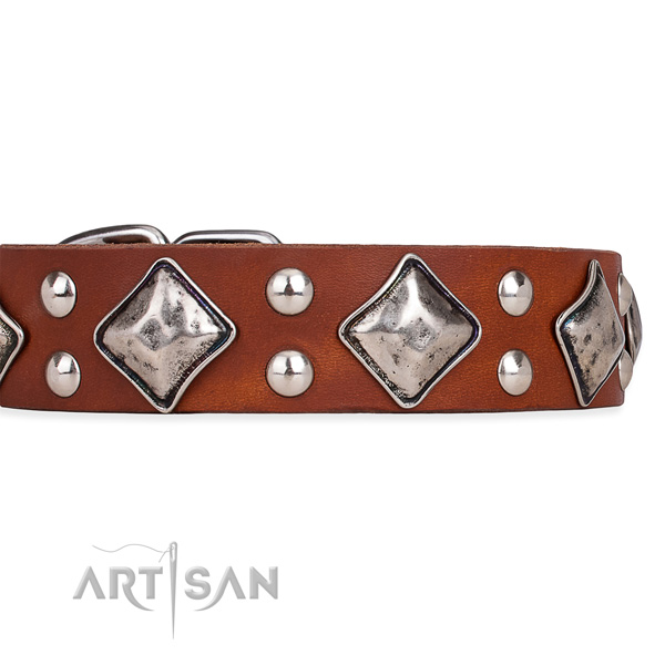 Leather dog collar with inimitable corrosion resistant studs