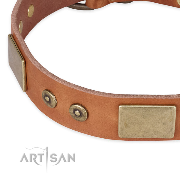 Reliable fittings on leather dog collar for your pet
