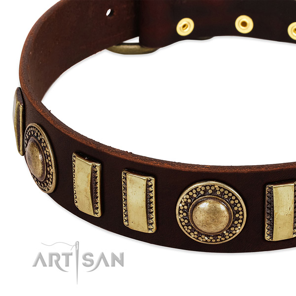 Top notch full grain leather dog collar with reliable fittings