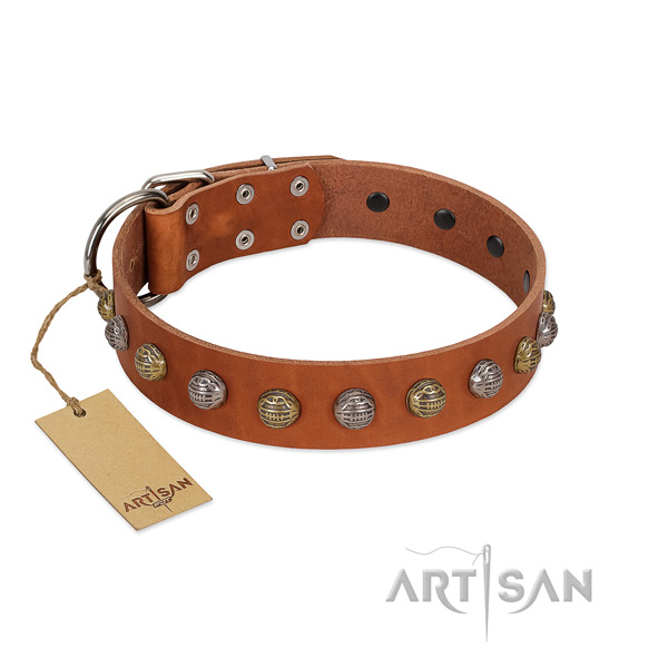 Corrosion proof fittings on extraordinary full grain leather dog collar