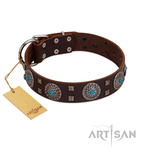 Comfortable wearing genuine leather dog collar with designer embellishments