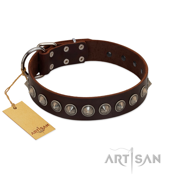 Leather dog collar with incredible studs crafted doggie