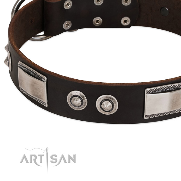 Exquisite full grain natural leather collar for your canine