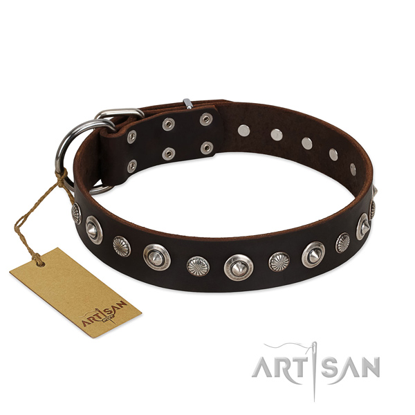 Best quality natural leather dog collar with unusual embellishments