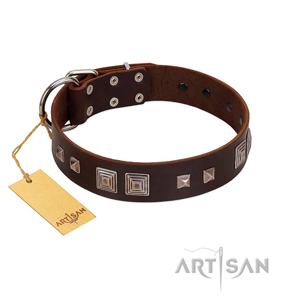 Corrosion proof buckle on full grain leather dog collar for comfy wearing