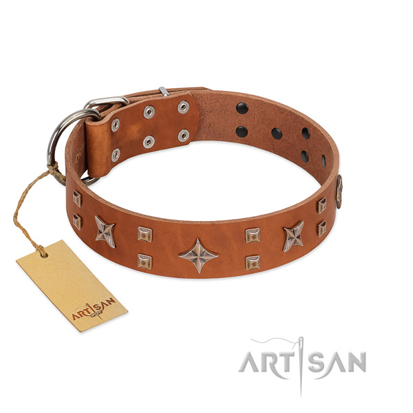 Stylish walking natural leather dog collar with inimitable decorations