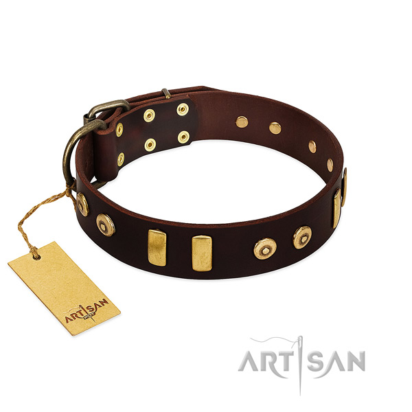 Full grain leather dog collar with trendy embellishments for handy use