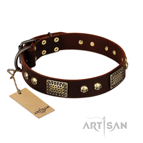 Adjustable full grain genuine leather dog collar for walking your pet