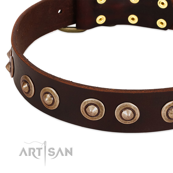 Corrosion proof studs on leather dog collar for your doggie