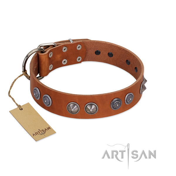 Reliable embellishments on walking collar for your pet