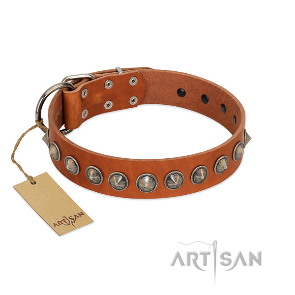 Full grain leather dog collar with stylish design adornments created doggie