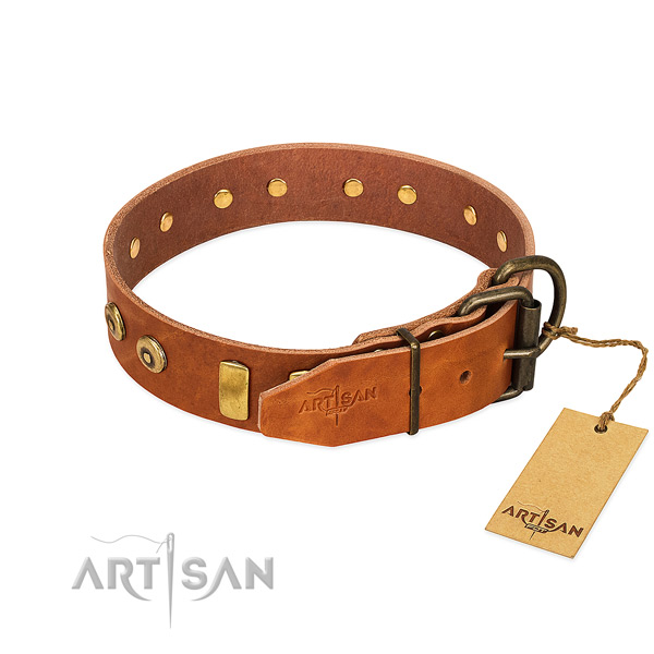 Exquisite adorned genuine leather dog collar of reliable material