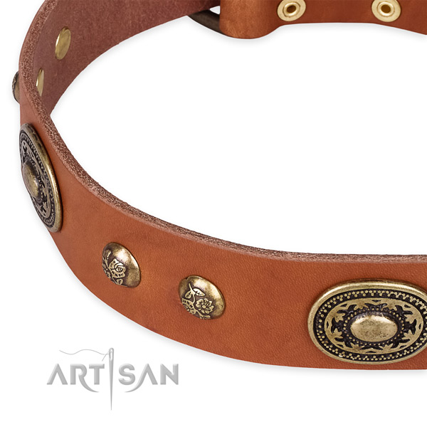 Amazing leather collar for your handsome dog