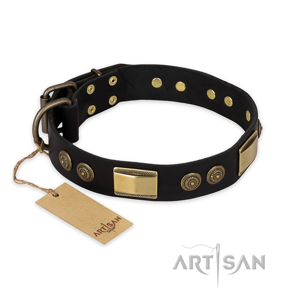 Fashionable full grain leather dog collar for everyday use