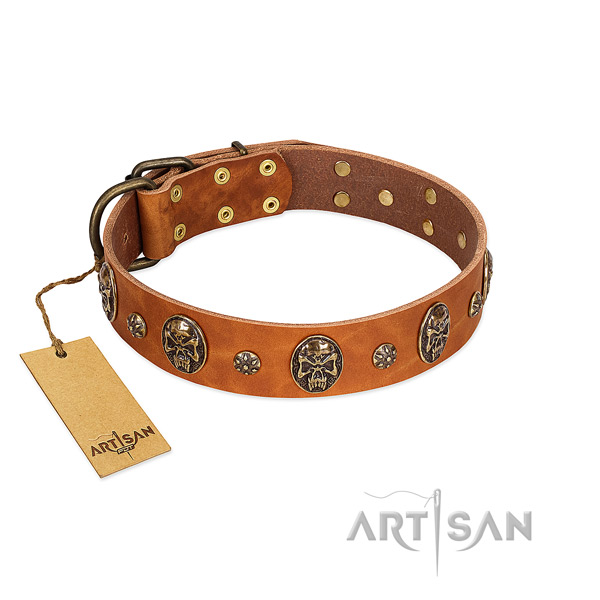 Easy adjustable genuine leather collar for your four-legged friend