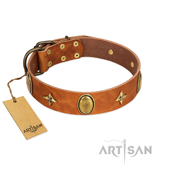 Gentle to touch full grain natural leather collar with incredible embellishments for your dog