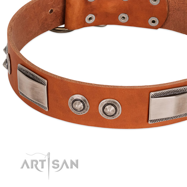 Extraordinary leather collar with adornments for your dog