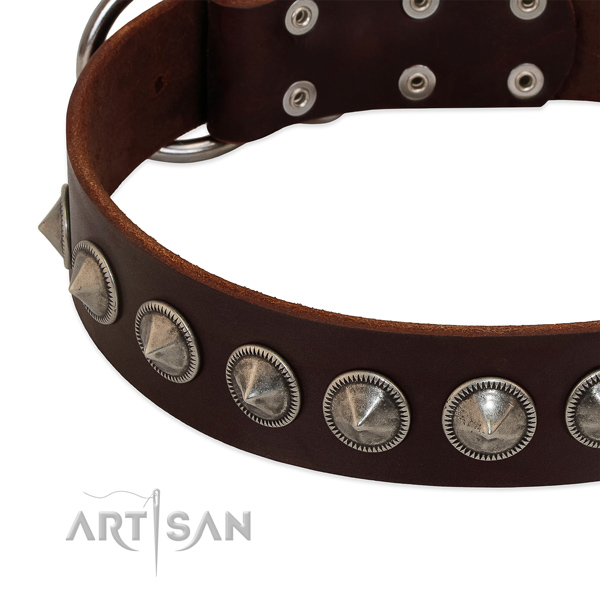 Fancy walking adorned full grain leather collar for your pet