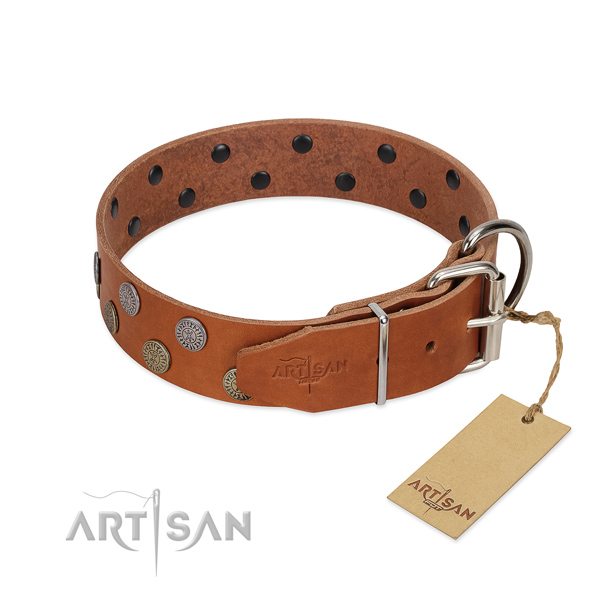 Strong traditional buckle on full grain genuine leather dog collar for comfortable wearing