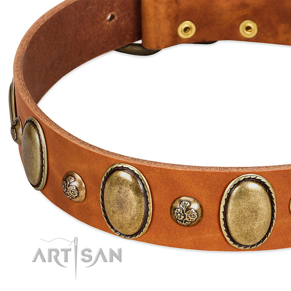 Full grain genuine leather dog collar with awesome decorations